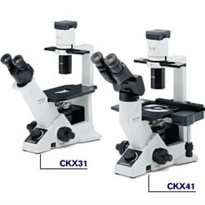 CKX31倒置生物显微镜