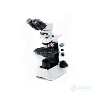 奥林巴斯CX31显微镜原装进口