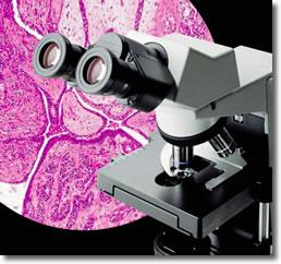 奥林巴斯CX31显微镜与徕卡DM750显微镜参数对比