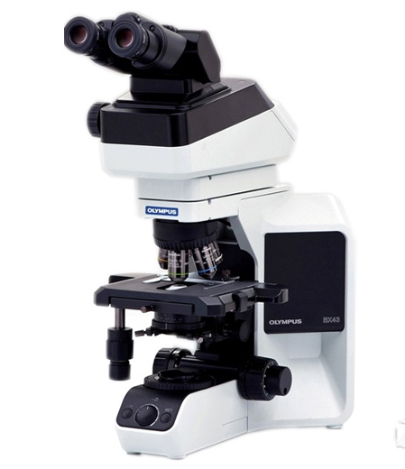 奥林巴斯BX43显微镜销售