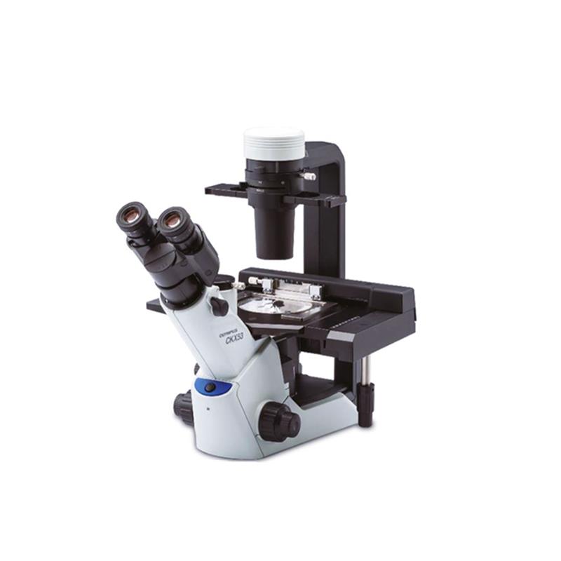 CKX53显微镜，奥林巴斯CKX53显微镜价格
