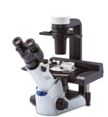 CKX53显微镜，奥林巴斯CKX53倒置显微镜